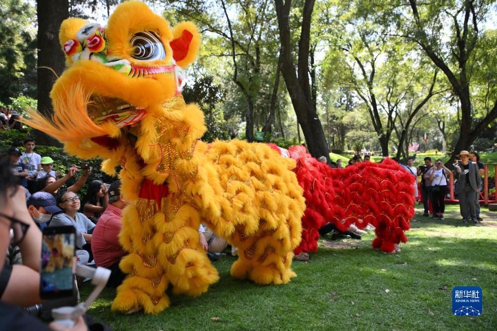 老虎转转转打不开